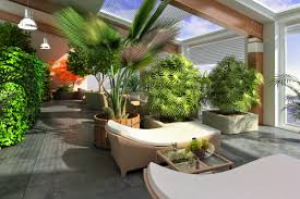 Jardin indoor : les plantes à éviter !
