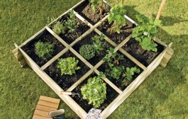 Jardin bio : comment créer son potager ?