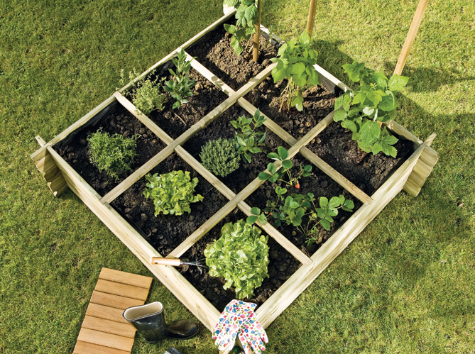 Jardin bio : comment créer son potager ?