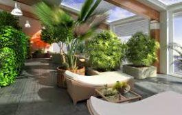 Jardin indoor : les plantes à éviter !