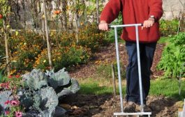 Les principes essentiels à tenir en compte pour entretenir un jardin bio