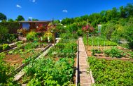 Jardin Bio : optez pour des engrais de fond