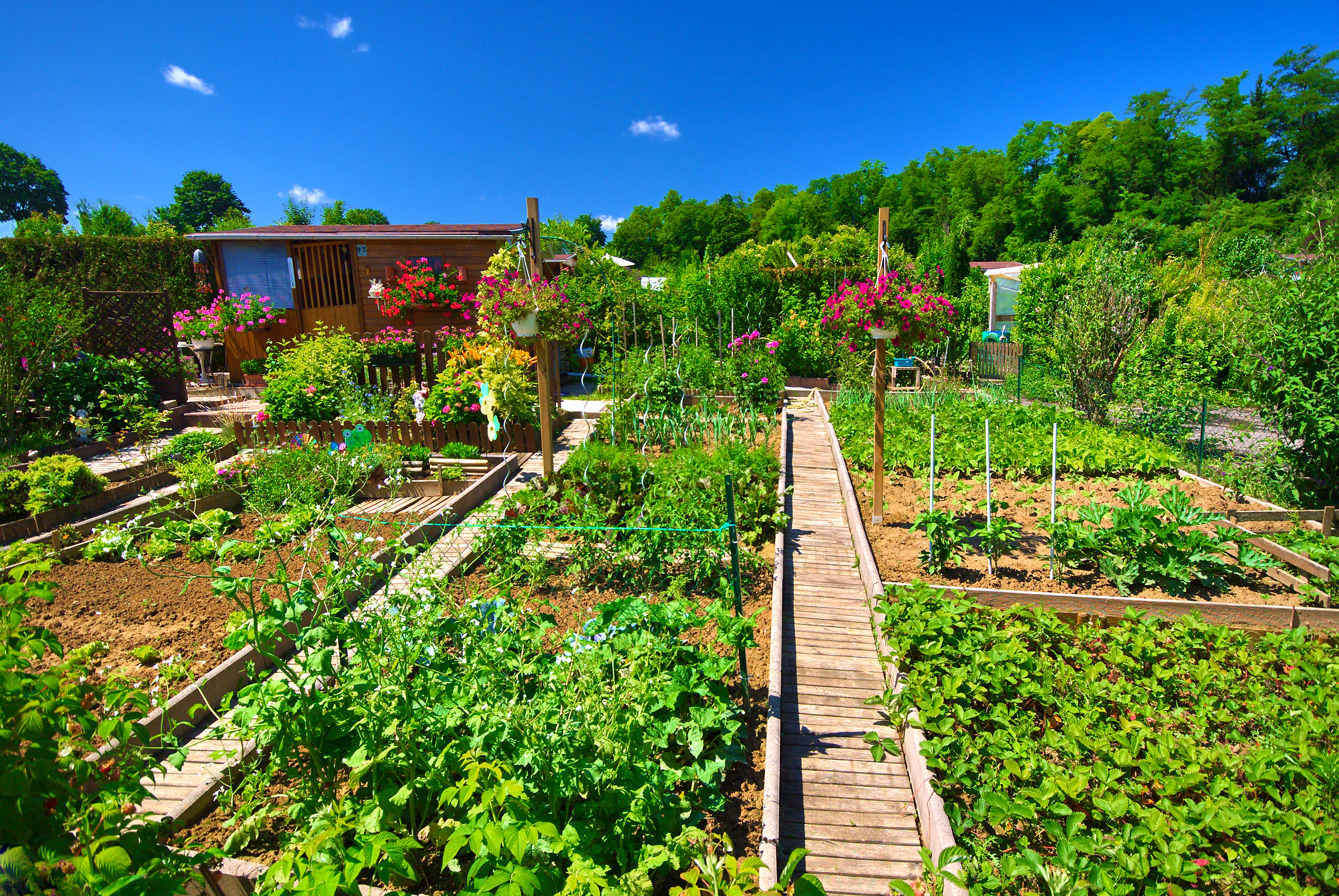 Jardin Bio : optez pour des engrais de fond