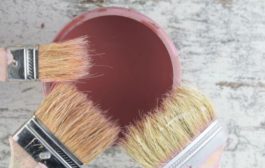 Tout ce qu'il faut savoir sur la peinture biologique