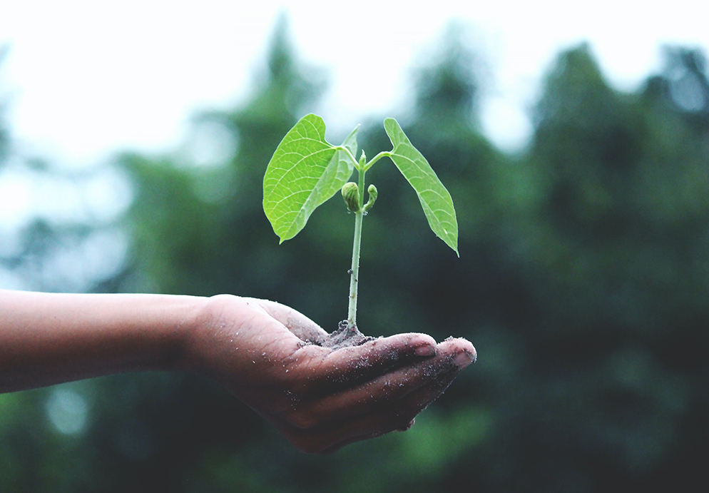 Les 03 bonnes raisons de se mettre à l'écologie