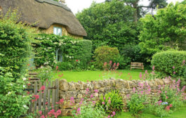 Comment créer un jardin à l'anglaise ?