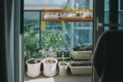 Aménager un jardin de plantes aromatiques sur balcon : conseils pratiques