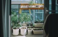 Aménager un jardin de plantes aromatiques sur balcon : conseils pratiques