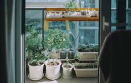 Aménager un jardin de plantes aromatiques sur balcon : conseils pratiques